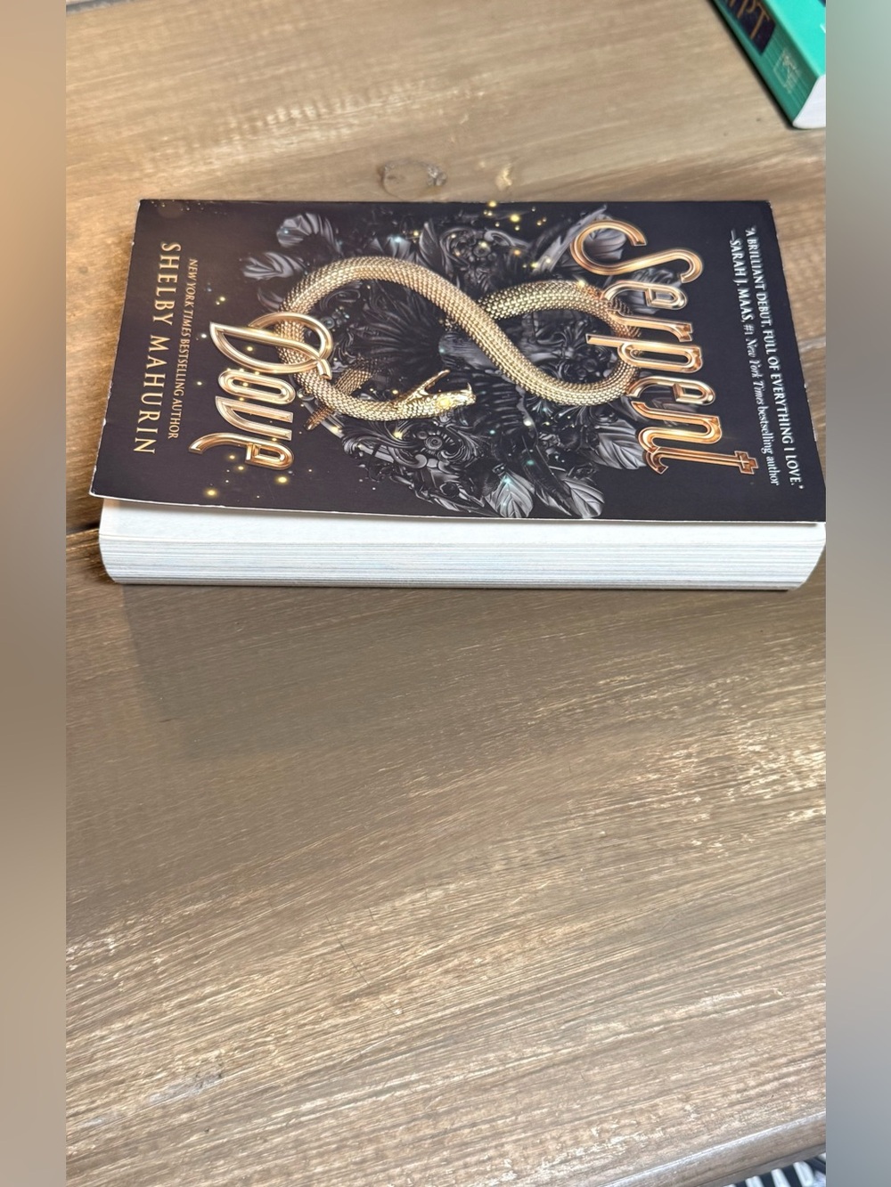Serpent & Dove by Shelby Mahurin | Paperback | YA Fantasy Romance Novel - Picture 3 of 7
